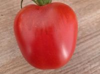 Tomate Omas Beste- 10 Samen Leipzig - Gohlis-Mitte Vorschau