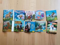 Pixi Bücher, Bücher, Kinderbücher, SET, günstig Nordrhein-Westfalen - Detmold Vorschau