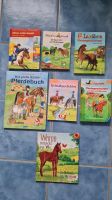 Buch Pferd lesen Mädchen Alina Leselöwen leserabe xenos Niedersachsen - Schwanewede Vorschau