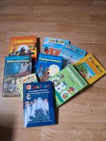 Leselöwen Bücher!!! Niedersachsen - Westoverledingen Vorschau