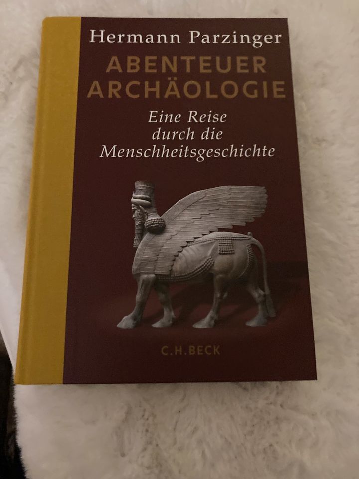 Buch ABENTEUER ARCHÄOLOGIE von Hermann Parzinger in Köln