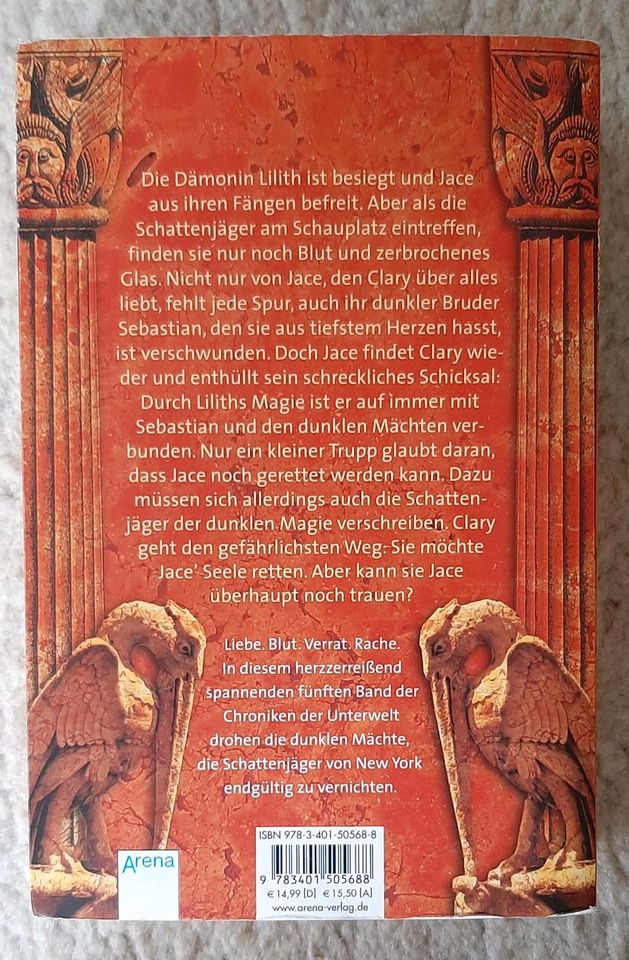 Buch "City of Lost Souls" von Cassandra Clare in Bramsche