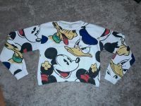 100 Jahre Walt Disney Pullover Gr 158/166cm Allover print Top Sachsen-Anhalt - Wolfen Vorschau