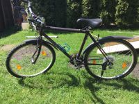 Herren Fahrrad Nordrhein-Westfalen - Werl Vorschau