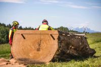 Dirks Mobieles Sägewerk Lohnschnitt bis 230cm Durchmesser Baden-Württemberg - Laichingen Vorschau