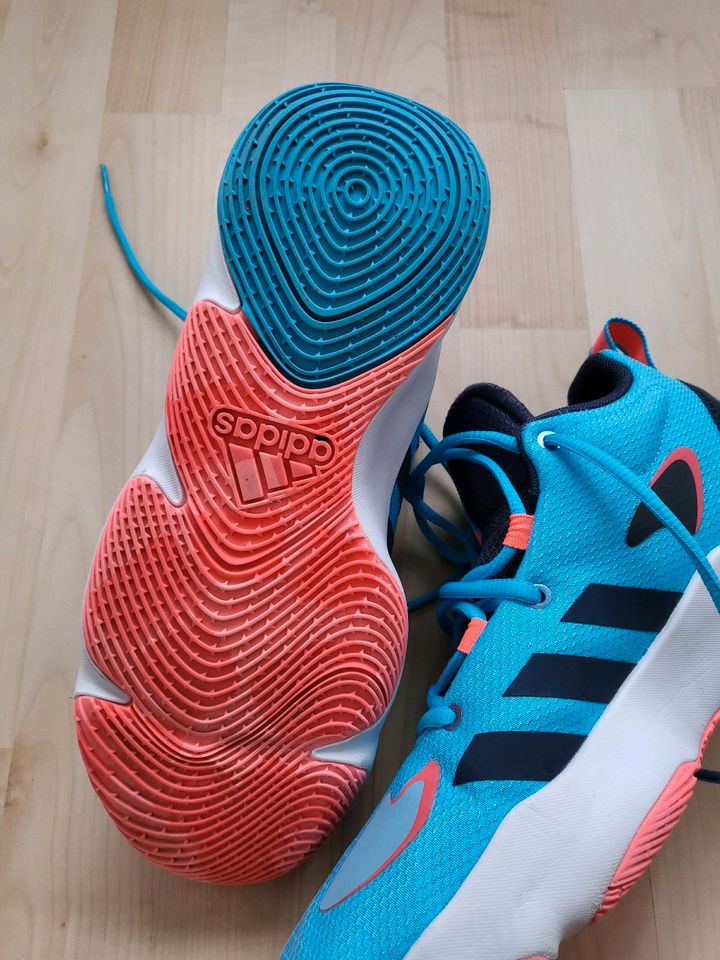 Adidas Pro N3xt Basketball Schuhe in Moers