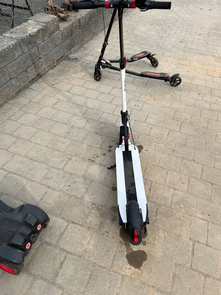 E-Scooter / EScooter SXT Buddy V2 ohne StVo in Dornburg
