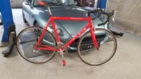 Rennrad Klein Quantum Pro, Carbon, RH 58, super Zustand Rheinland-Pfalz - Biebelsheim Vorschau