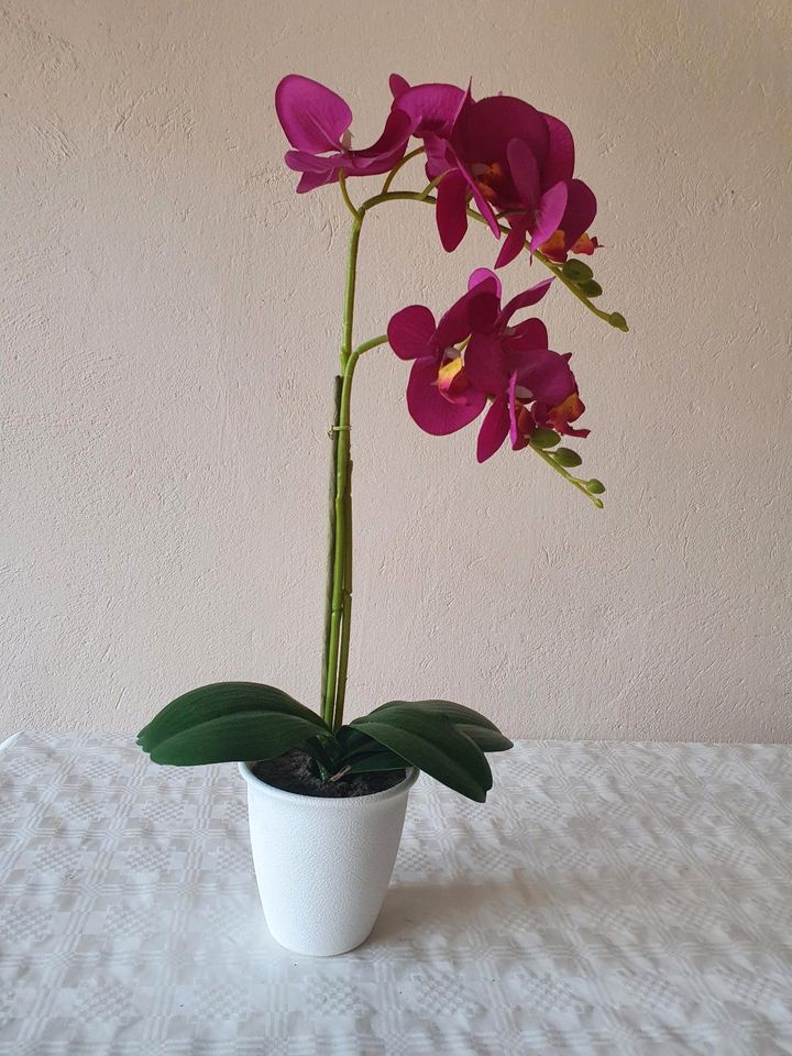Orchidee künstlich pink in Luckenwalde