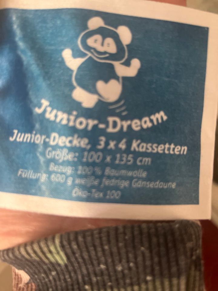 Baby Bettdecke 100 x 135cm  Junior Dream in Crivitz