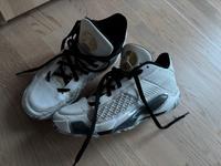 JORDAN AIR JORDAN 38 Gr.42 Top Zustand! Hessen - Kelkheim Vorschau