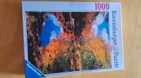 1000 Teile Puzzle von Ravensburger, Herbst-Motiv Bayern - Lauf a.d. Pegnitz Vorschau