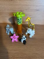 Lego Duplo 10904 Süsse Tierkinder Nordrhein-Westfalen - Bottrop Vorschau