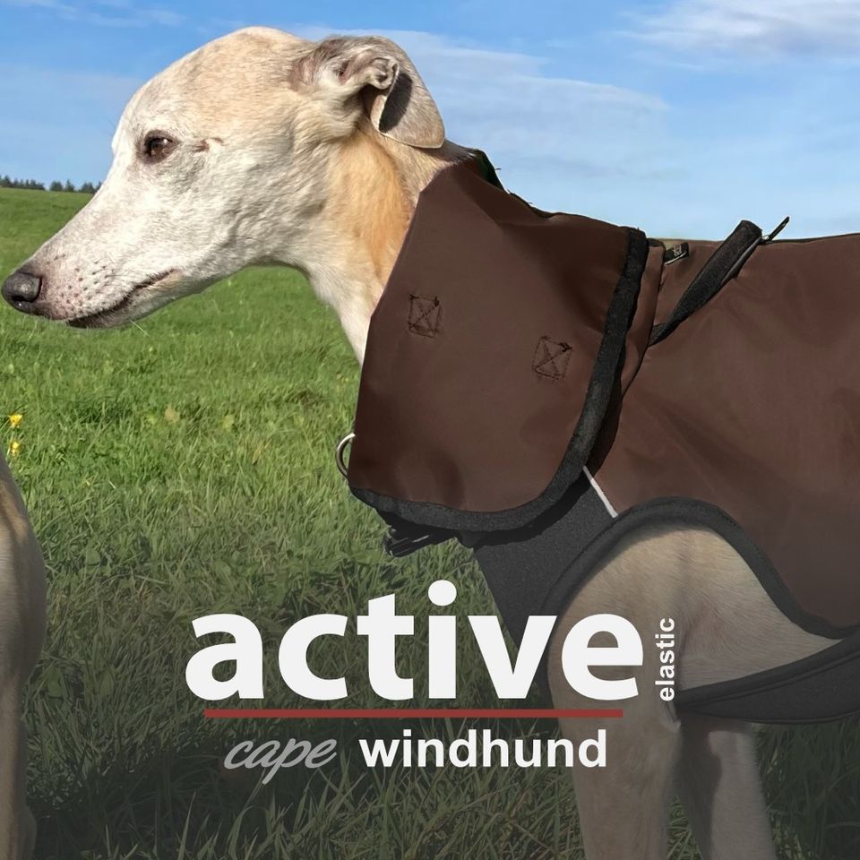 Hundemantel - ACTIVE cape ELASTIC WINDHUND brown in Nordrhein-Westfalen -  Marl | eBay Kleinanzeigen ist jetzt Kleinanzeigen