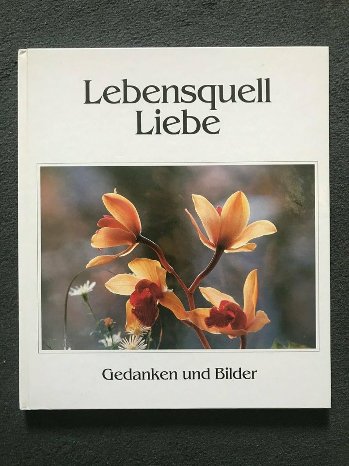 Lebensquell Liebe - Gedanken und Bilder (Buch) in Duisburg