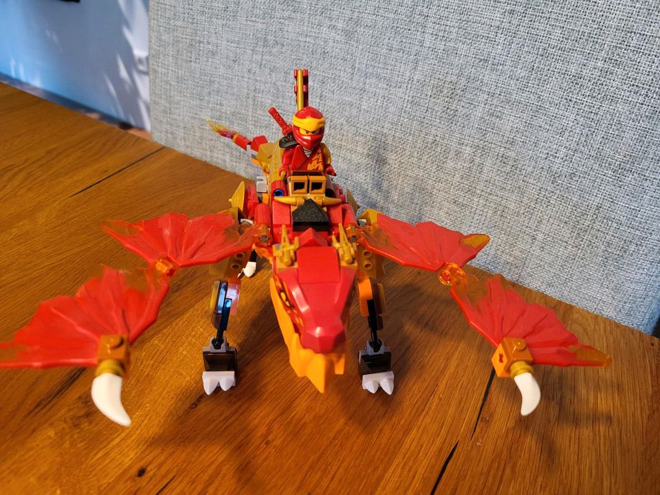 Lego Ninjago in Radeberg