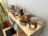 Set Schleich Tiere gemischt. Münster (Westfalen) - Wolbeck Vorschau