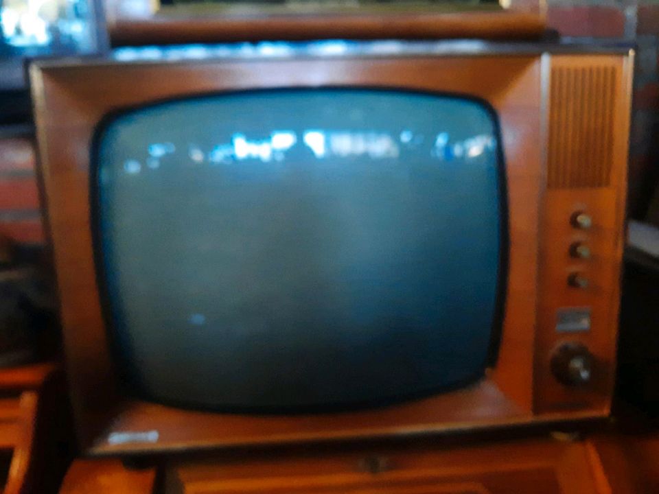 Grundig Exclusive Fernseher Alt Retro Vintage in Groß-Gerau