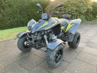 Kymco Maxxer 300 T Offroad LOF *VERFÜGBAR* Niedersachsen - Westerstede Vorschau