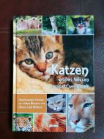 NEU Katzen - Großes Wissen kompakt vermittelt Niedersachsen - Hessisch Oldendorf Vorschau