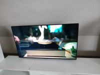 LG Fernseher zu verkaufen 150€ Rheinland-Pfalz - Lustadt Vorschau