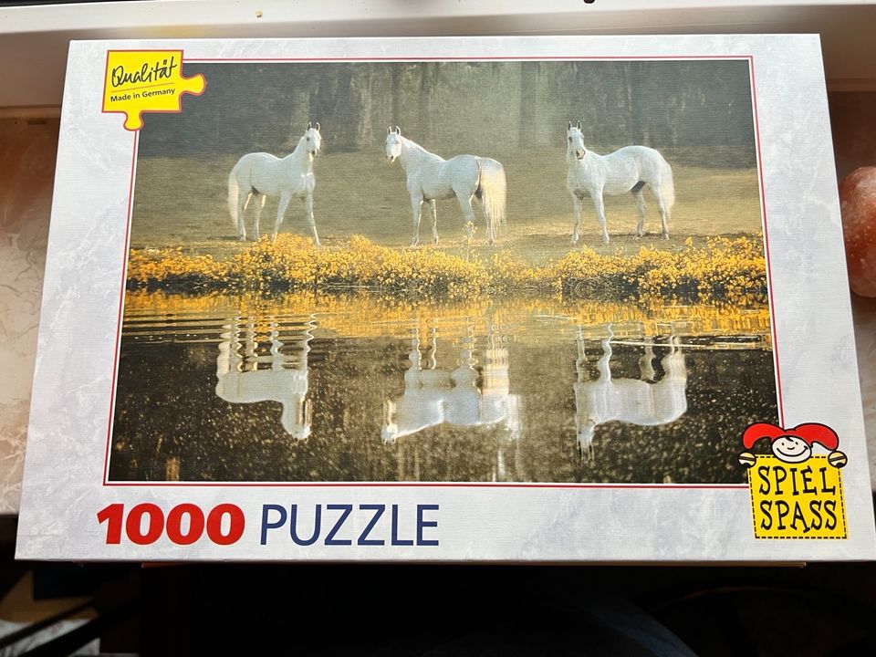 Puzzle Pferde Wasser - 1000 Teile in Halle
