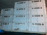 Kunststoff Kisten Boxen Behälter ca. 72 Stück Niedersachsen - Bramsche Vorschau