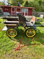 Marathonwagen Ponykutsche Niedersachsen - Moringen Vorschau