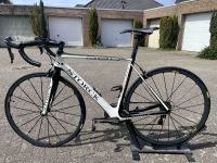 Storck Aernario G1, Größe 55cm Nordrhein-Westfalen - Hünxe Vorschau