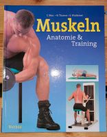 Buch Sport Muskeltraining + Anatomie Sachsen - Reichenbach (Vogtland) Vorschau