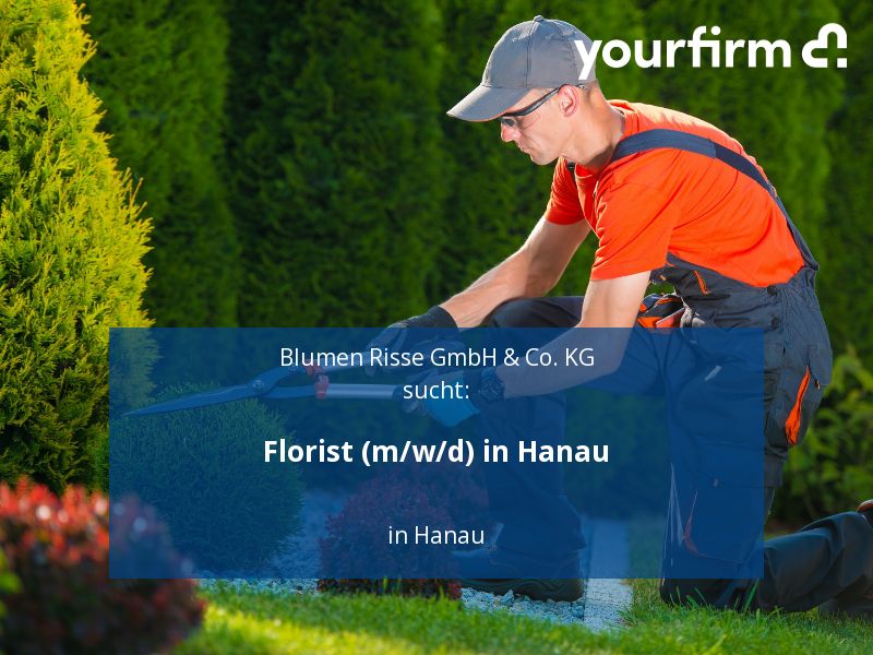 Florist (m/w/d) in Hanau | Hanau in Hanau