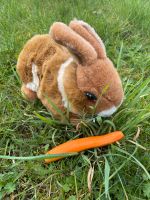 Plüschtier / Stofftier Hase  - bespielt Osnabrück - Hasbergen Vorschau