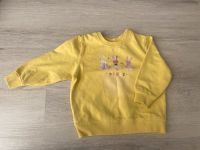 Lupilu Pulli Pullover Gr. 98/104 Niedersachsen - Seevetal Vorschau