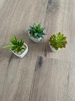 3er Set Blumendeko Hessen - Schwarzenborn Vorschau