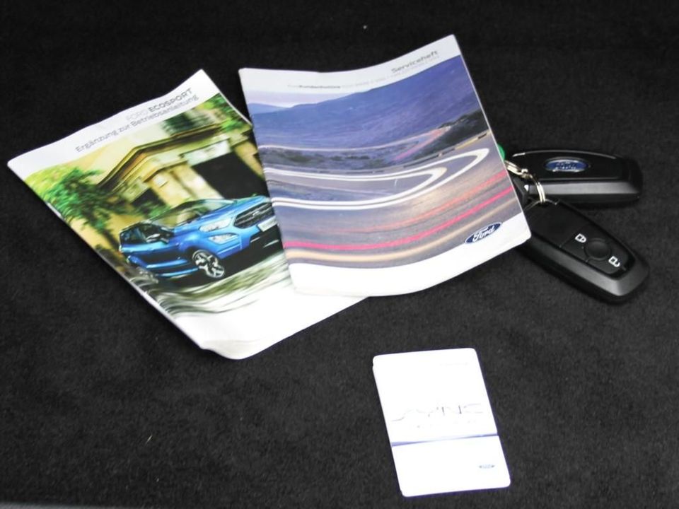 Ford Ecosport 1.0 EB Titanium LED Nav Kamera B&O BLIS in Stutensee