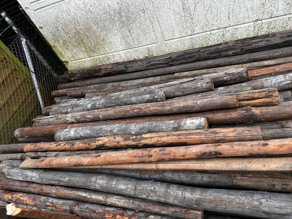 Holzpfähle rund 6 Meter 2-2,5 Meter in Bottrop