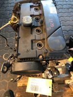 Ford Transit MOTOR * FIFA* 2.0 / 92 Kw Saarland - Merzig Vorschau