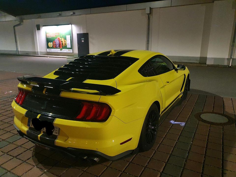 US Car Fahrer (Landkreis Tuttlingen) in Gosheim