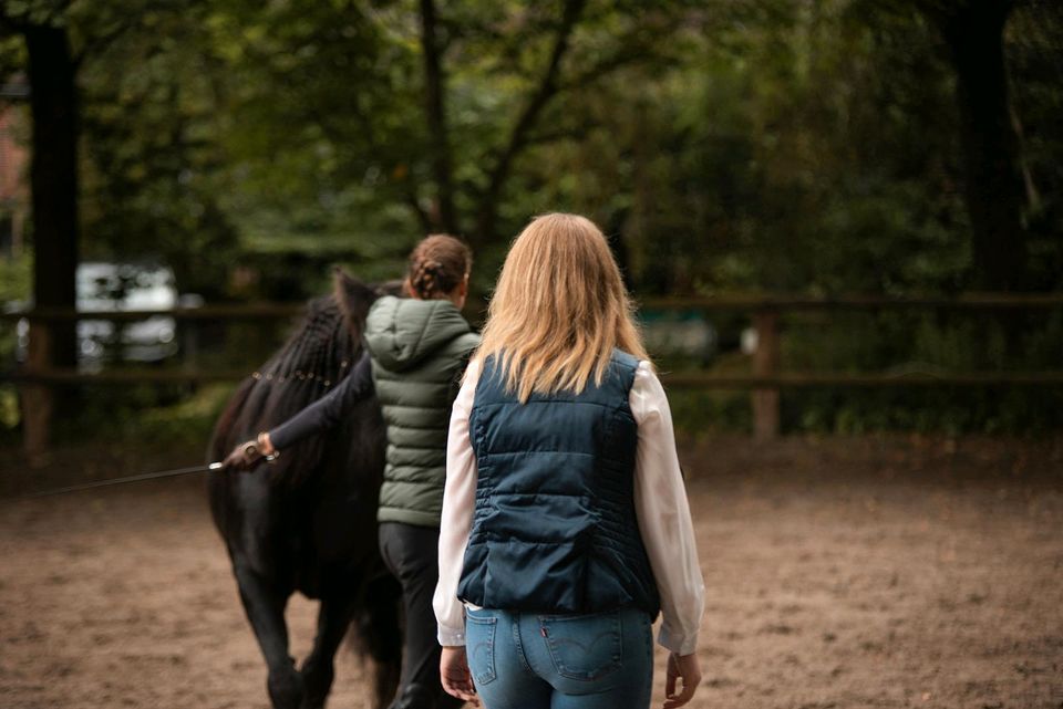 Reitunterricht Bodenarbeit Akademische Reitkunst in Neu Wulmstorf