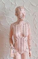 Akupunktur Modell Figur weiblich paramed original 70 cm neuwertig Brandenburg - Schwedt (Oder) Vorschau