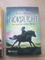 Nordlicht  Band 1 von Karin Müller Hessen - Mühlheim am Main Vorschau