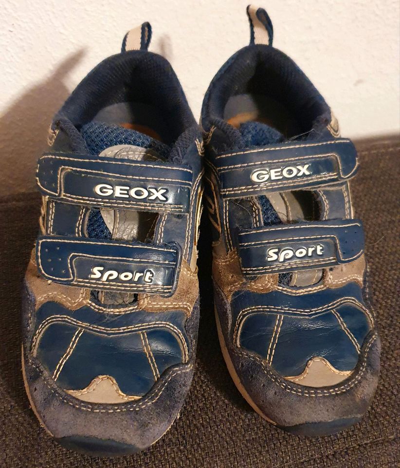 Geox Schuhe Sneaker Kinder Sandalen Turnschuhe Lauflernschuhe in Alsenz