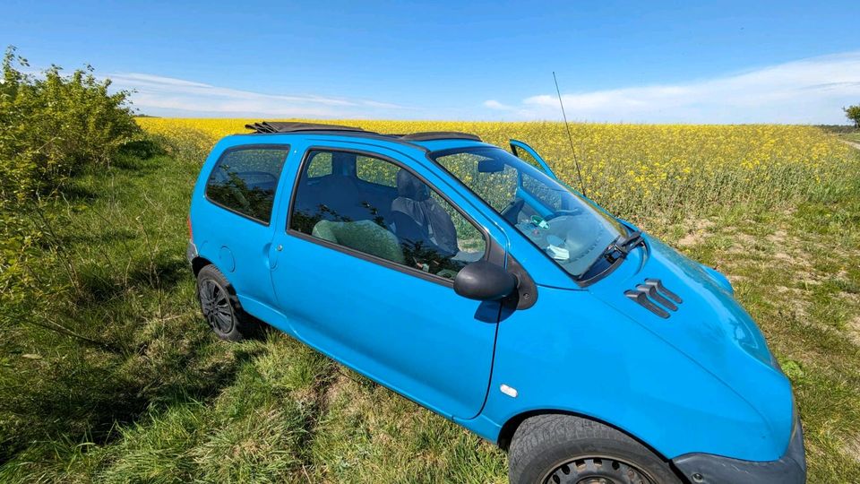 Renault Twingo in Oranienburg