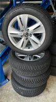 VW Golf 8 Winterradsatz 205/55 R16 94V 7Jx16 ET 48 5x112 EK1848 Bayern - Marktzeuln Vorschau