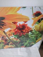Motiv  Sonnenblumen Leinwand auf Holzrahmen  90 x 60 cm  Neu Niedersachsen - Südbrookmerland Vorschau