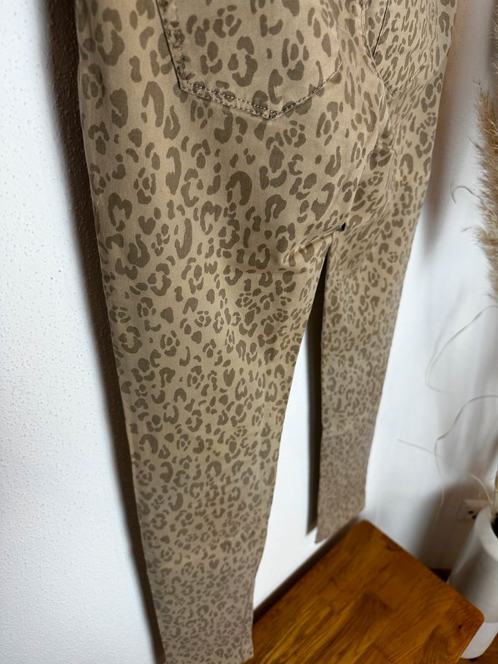 EDC by Esprit - Hose - beige - mit Leoparden-Print/-Muster in Landshut