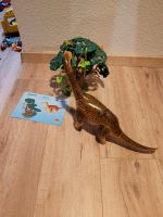 Playmobil 5231 Brachiosaurus Hessen - Künzell Vorschau