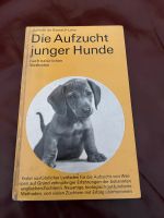 Aufzucht junger Hunde - von Juliette de Bairacli Levy  Rarität Sachsen-Anhalt - Gardelegen   Vorschau