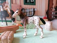 Schleich Knabstrupper Fohlen Pferde Ponyhof Berlin - Neukölln Vorschau