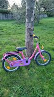 Puky 16" Zoll Kinderfahrrad Fahrrad pink Mädchen Hessen - Lautertal Vorschau